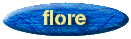 Flore1.gif (3768 octets)
