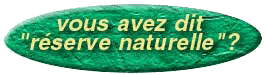 vous avez dit.jpg (12642 octets)